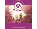Trine Hundeartikler AS