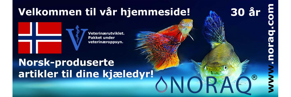 Velkommen til vår hjemmeside!