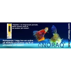 NORAQ pH-test penn for butikkbruk