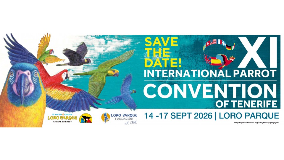 XI Papegøyekongressen 14.-17. September 2026 i Loro Parque på Tenerife (Spania)