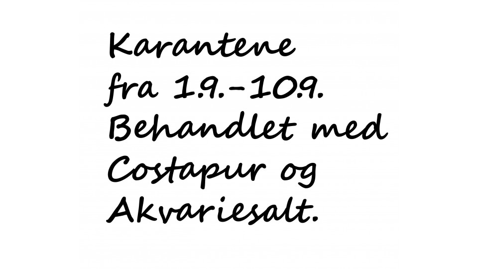 Penn for skriving på glass med nye ordrer