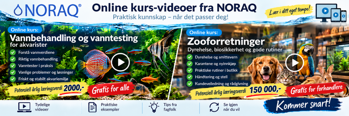 Online kurs