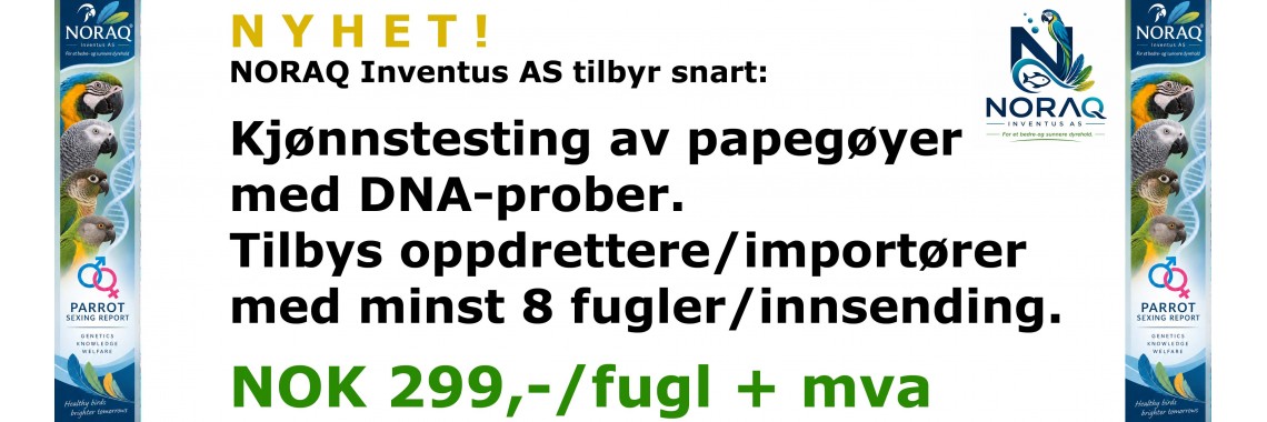 Kjønnstesting av papegøyefugler