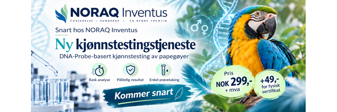 Kjønnstesting av papegøyefugler