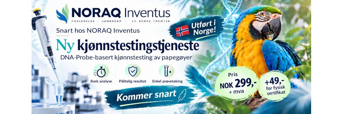 Kjønnstesting av papegøyefugler