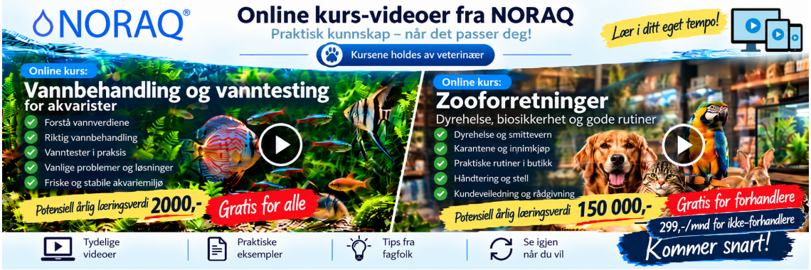 Online kurs